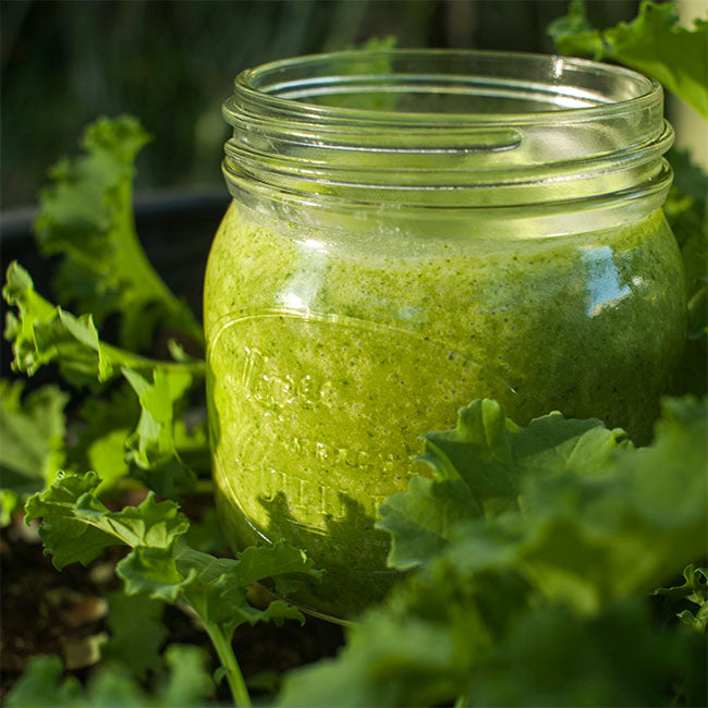 Green Machine Smoothie – Nuzest AE