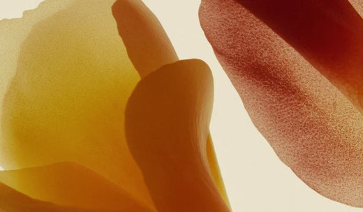 What Does Natural Flavor Really Mean?